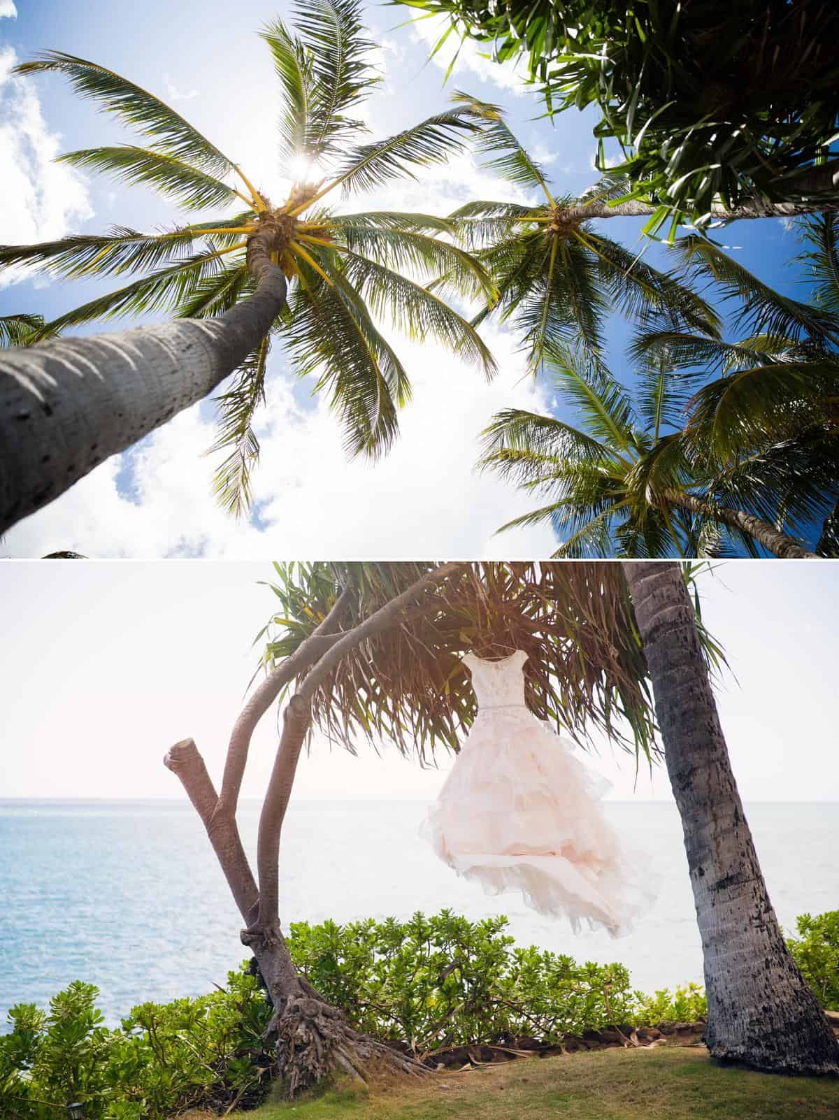 Wedding dress hanging from coconut tree Hawaii Destination wedding photographer www.benandhopeweddings.com.au