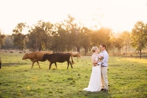 Spicers Hidden Vale Wedding Photographer – Michelle + Andrew