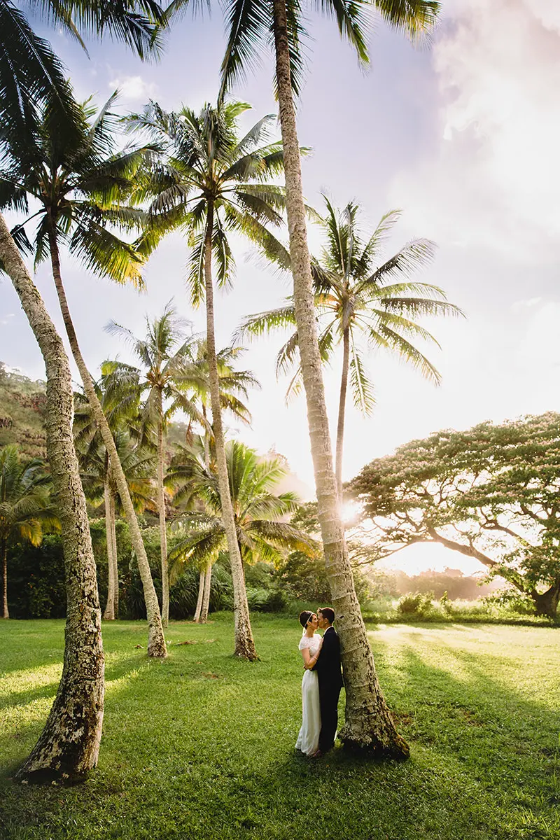 hawaii wedding photographer palm trees
