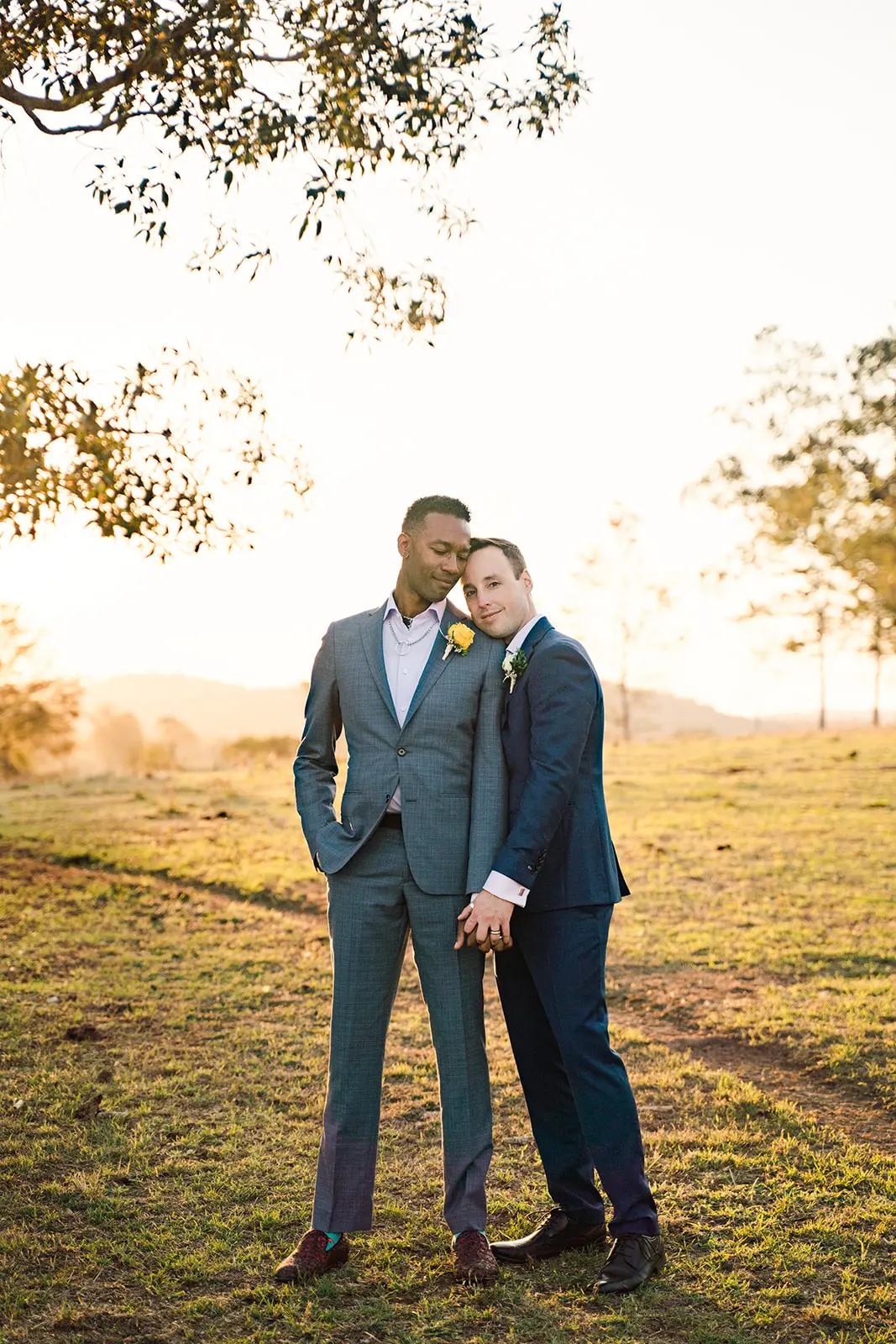 two grooms holding each other in the golden light at albert river wines