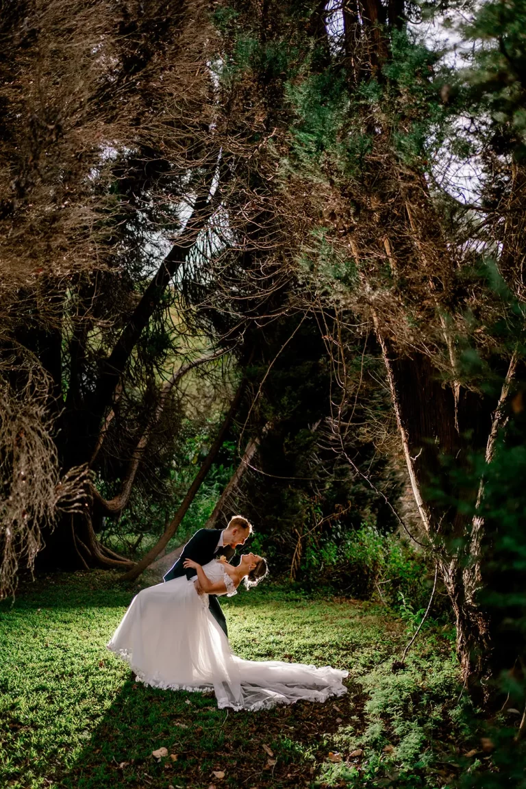 bride and groom kissing in the trees with a light behind them at cedar creek estate