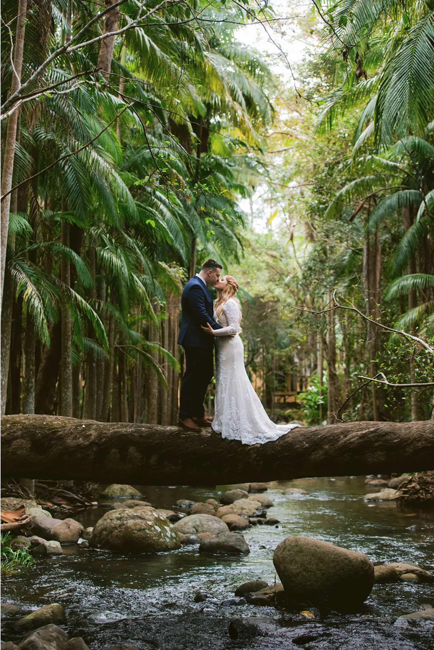bride and groom kissing on a log over a creek at tamborine mountain glades wedding venue